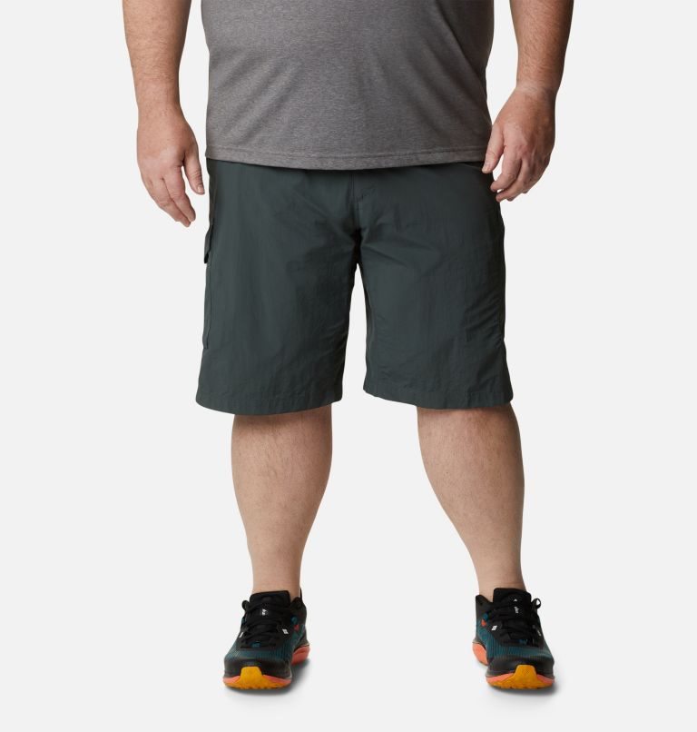 Men\'s Columbia Silver Ridge Cargo Shorts Black | Plus Size CA-K3150